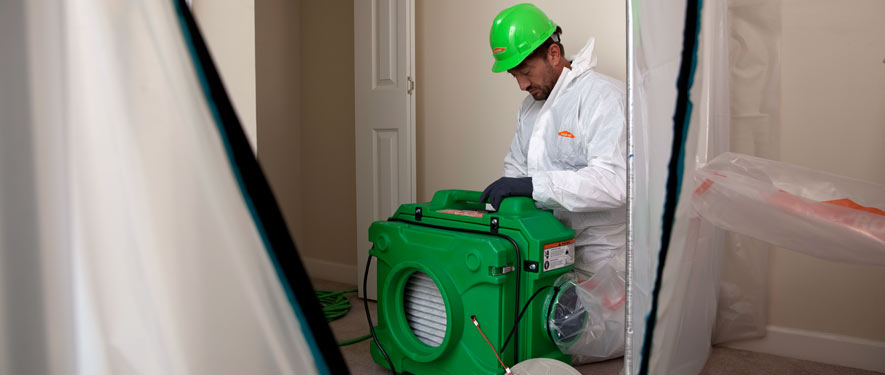 Charlottetown, PE mold cleanup