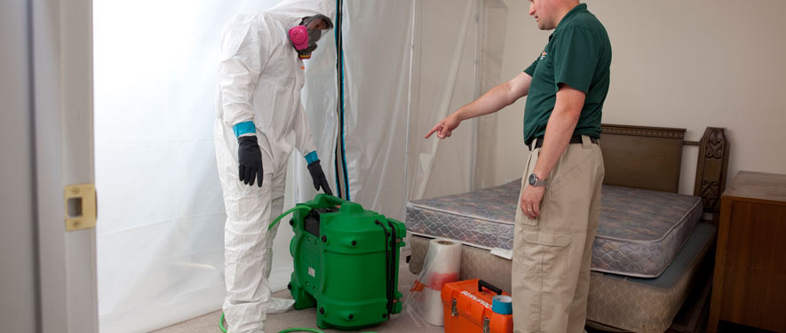 Charlottetown, PE mold removal process